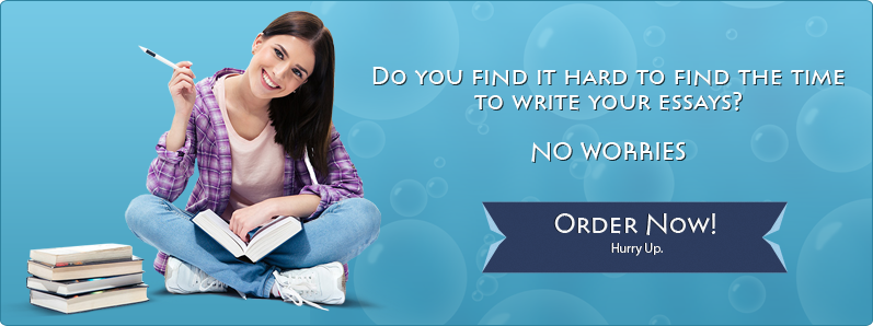 Essay writing company